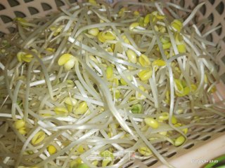 清炒黄豆芽的做法步骤：2