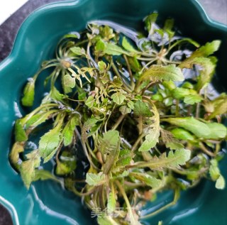 贻贝荠菜滑鹅蛋的做法步骤：1