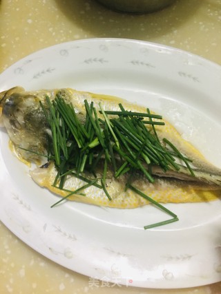豉油黄花鱼的做法步骤：5