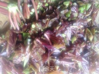 春芽炒鹅蛋的做法步骤：1