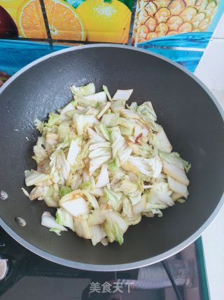 鸡块白菜炖粉条的做法步骤：9