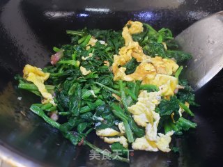 菠菜炒鹅蛋的做法步骤：8
