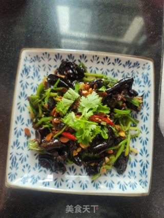 菠菜梗拌黑木耳的做法步骤：11