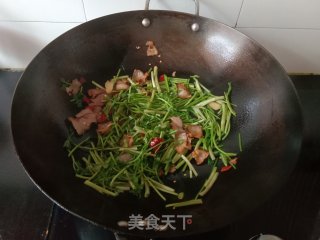 腊肉炒野芹菜的做法步骤：5