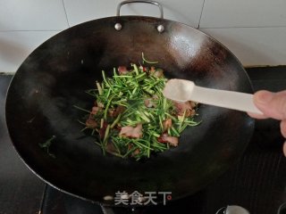 腊肉炒野芹菜的做法步骤：6
