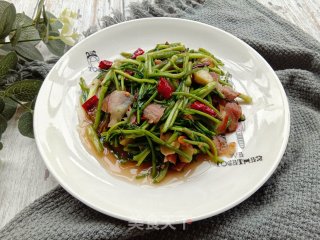 腊肉炒野芹菜的做法步骤：7