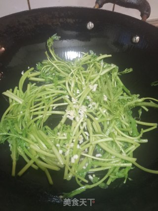 清炒茼蒿的做法步骤：4