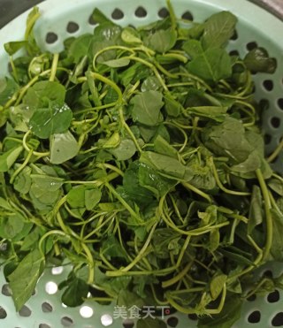 清炒苜蓿菜的做法步骤：1