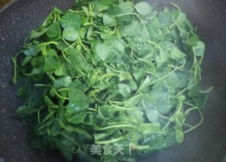 清炒苜蓿菜的做法步骤：2