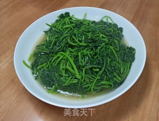 清炒苜蓿菜的做法步骤：4
