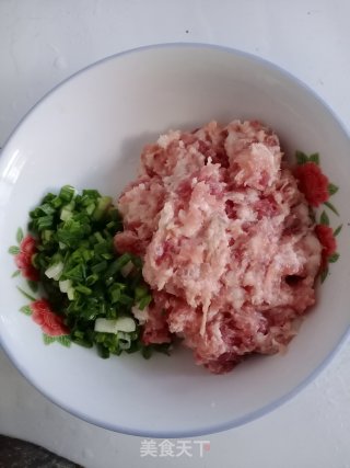 酥脆春卷的做法步骤：2