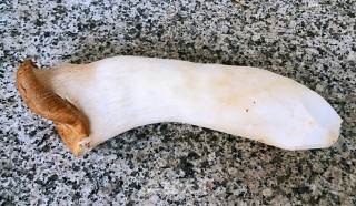 酥炸杏鲍菇的做法步骤：1