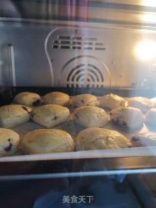 蔓越莓司康的做法步骤：16