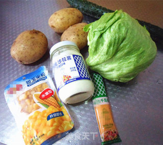 土豆泥蔬菜沙拉的做法步骤：1