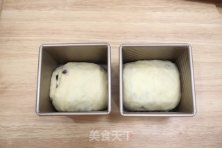 蜜豆吐司的做法步骤：10