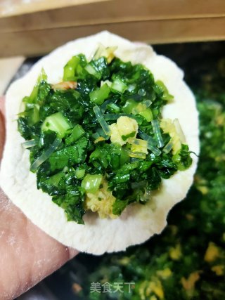 小白菜素包子的做法步骤：16