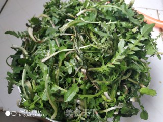 荠菜素水饺一一一健康型的做法步骤：2