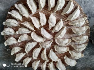 荠菜素水饺一一一健康型的做法步骤：8