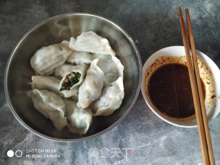荠菜素水饺一一一健康型的做法步骤：10