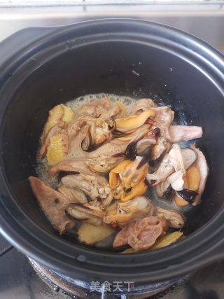 蚌肉海虹煲鹌鹑鸡的做法步骤：6