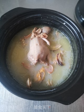 蚌肉海虹煲鹌鹑鸡的做法步骤：12