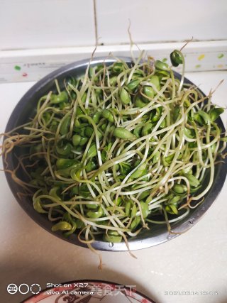 素炒黑豆芽的做法步骤：1