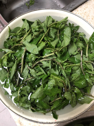 凉拌枸杞芽儿的做法步骤：1