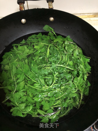 凉拌枸杞芽儿的做法步骤：3