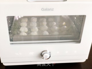水晶蔬菜包的做法步骤：9