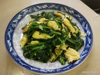 春韭炒鸡蛋的做法步骤：8