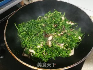 红花草香菇小炒的做法步骤：3