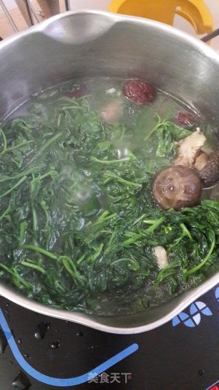 枸杞叶筒骨汤的做法步骤：7