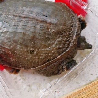 红烧甲鱼的做法步骤：1
