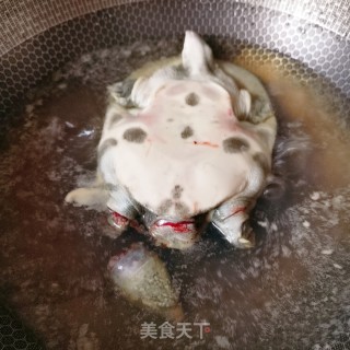 红烧甲鱼的做法步骤：2