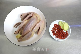 清炖老鸽汤的做法步骤：2
