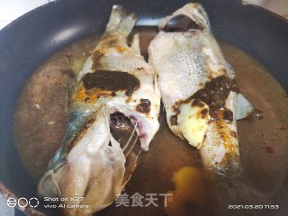 豆瓣酱焖鲈鱼的做法步骤：5