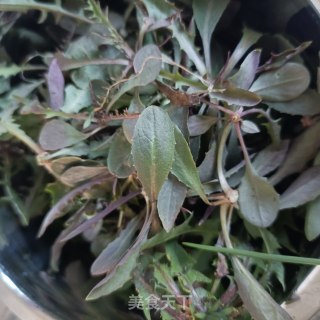 “春季野菜”花生拌苦菜的做法步骤：1