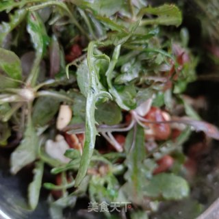 “春季野菜”花生拌苦菜的做法步骤：8