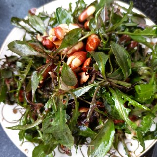“春季野菜”花生拌苦菜的做法步骤：9