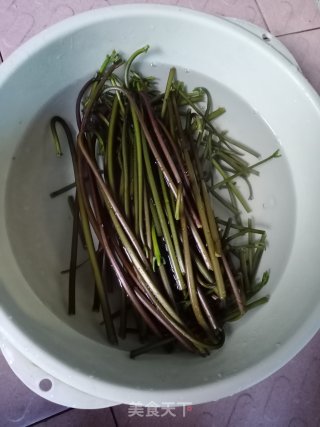 凉拌蕨菜的做法步骤：2