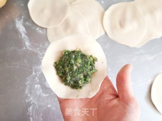 茴香肉蒸饺的做法步骤：8