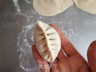 茴香肉蒸饺的做法步骤：9