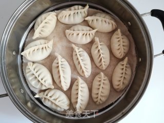 茴香肉蒸饺的做法步骤：10