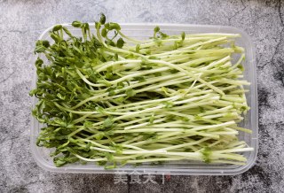 松柳苗炒鸡蛋的做法步骤：1