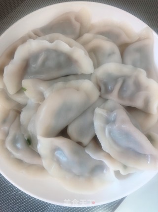 韭菜猪肉饺子的做法步骤：7
