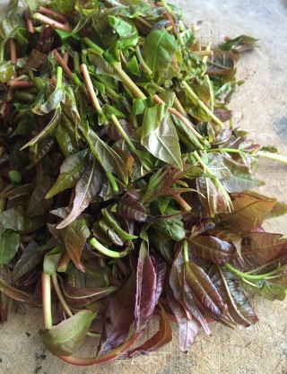 香椿芽炒螺丝椒的做法步骤：4