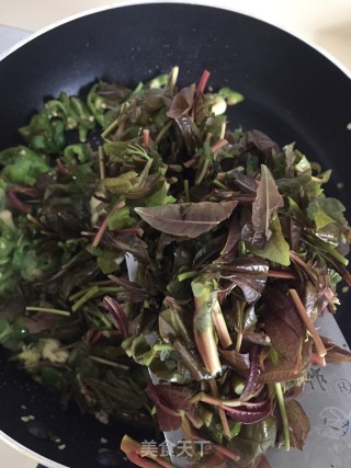 香椿芽炒螺丝椒的做法步骤：8