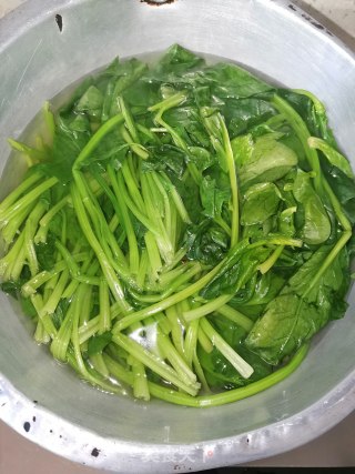 蒜香菠菜的做法步骤：2