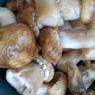 煎姬松茸的做法步骤：1