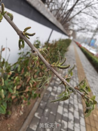 苟桃穗炒鸡蛋的做法步骤：1